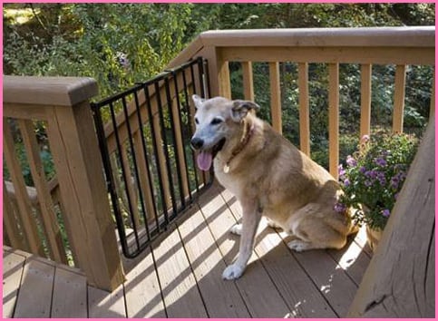 Dog proof outlet railings