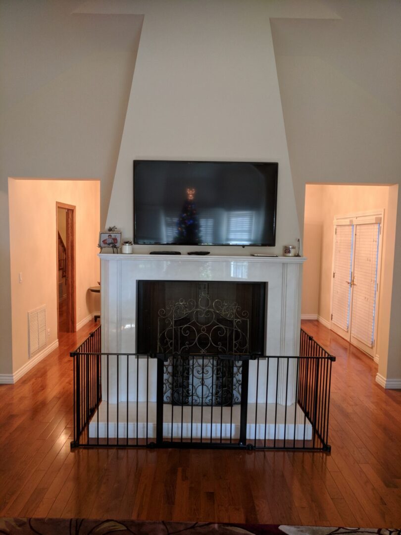 Living room fireplace with TV and gate.